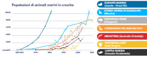 Popolazioni di animali marini in crescita, il grafico