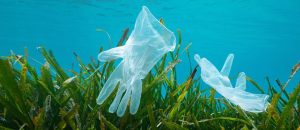 Guanti di plastica dispersi nel mare